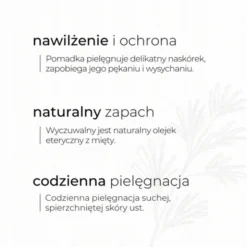 Sylveco, miętowa pomadka z peelingiem z betuliną, 4,6 g