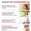 Tendoactive, kapsułki, 60 szt.