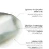 Theramid A Retinyl Retinoate, serum z retinoidami, 30 ml