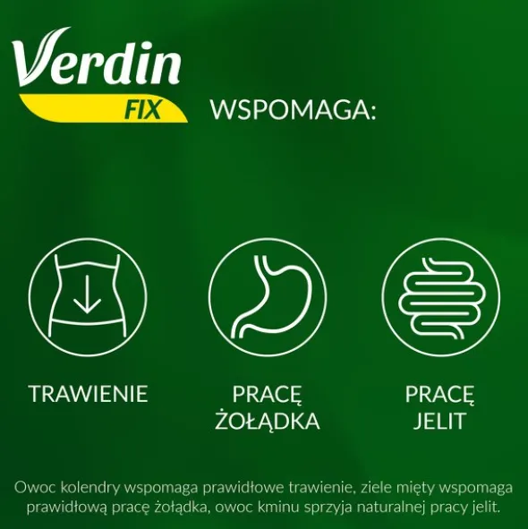 Verdin Fix, saszetki, 20 szt.