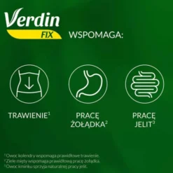 Verdin fix z maliną, susz ziołowy, 20 szt.