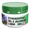 Virde, żel żywokostowy z jałowcem i MSM, 350 g