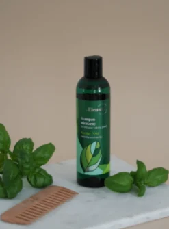 Vis Plantis Basil Element, szampon micelarny do włosów i skóry głowy, bazylia + NMF, 300 ml