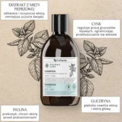 Vis Plantis Pharma Care, szampon do włosów przetłuszczających się, mięta + cynk, 500 ml