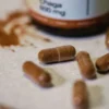 Wellbear Chaga (Błyskoporek podkorowy) 500 mg, kapsułki, 60 szt.