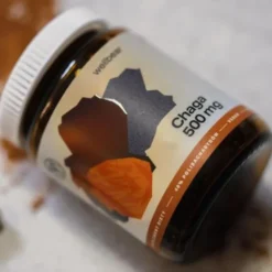 Wellbear Chaga (Błyskoporek podkorowy) 500 mg, kapsułki, 60 szt.