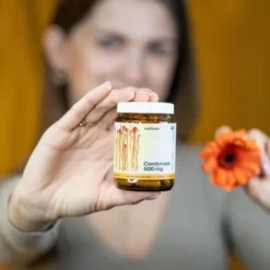 Wellbear Cordyceps 500 mg, kapsułki, 60 szt.