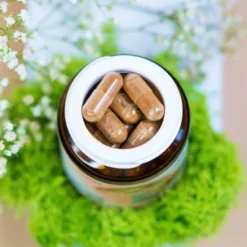 Wellbear Shiitake (Twardnik japoński) 400 mg, kapsułki, 60 szt.