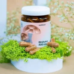 Wellbear Shiitake (Twardnik japoński) 400 mg, kapsułki, 60 szt.