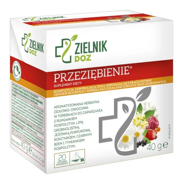 Zielnik DOZ Przeziębienie, herbatka owocowa-ziołowa, 2 g, 20 szt.