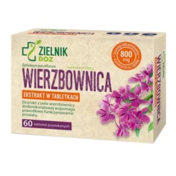 ZIELNIK DOZ Wierzbownica, tabletki powlekane, 60 szt.